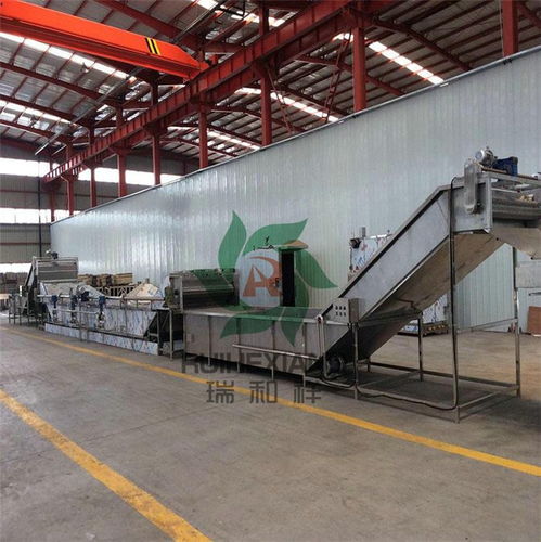 海帶提取設(shè)備 瑞和食品機(jī)械廠家的專業(yè)銷售服務(wù)